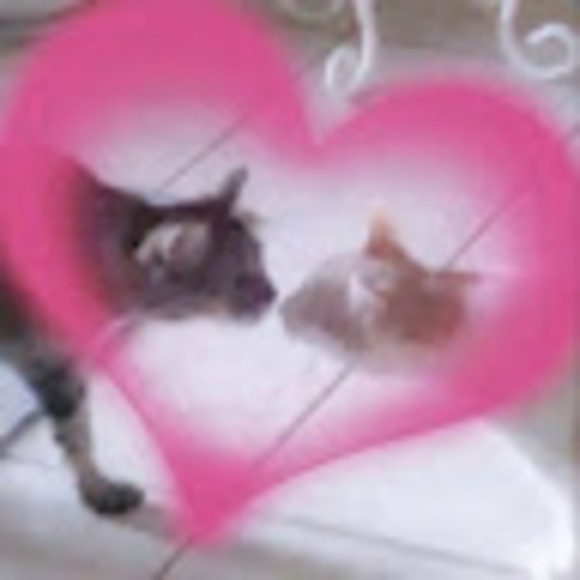 Meet your Posher, Jamie - Picture 1 of 1